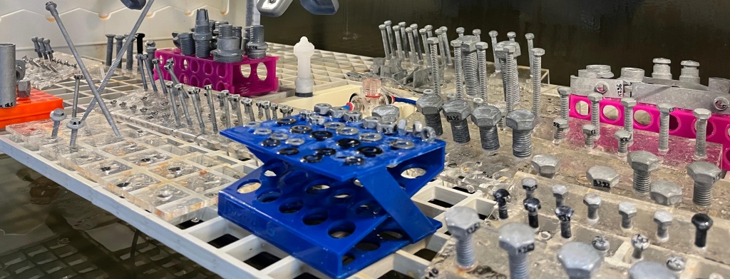 Изображение WhatsApp 2024-02-28 в 15.14.03_07f35edc.jpg